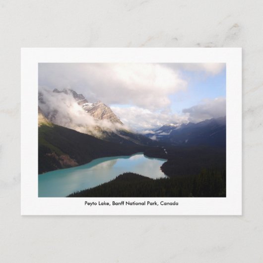 Peyto Lake /バンフ国立公園，カナダ。 ポストカード (正面)
