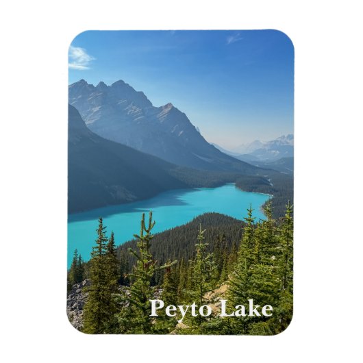 Peyto Lake in Banff Canada マグネット (縦)