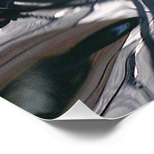 Pez fantasma ポスター (コーナー)