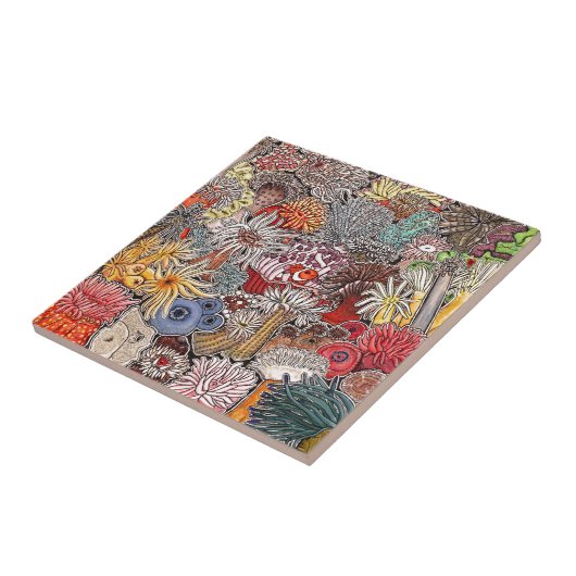 Pez payaso y anémonas タイル (側面)