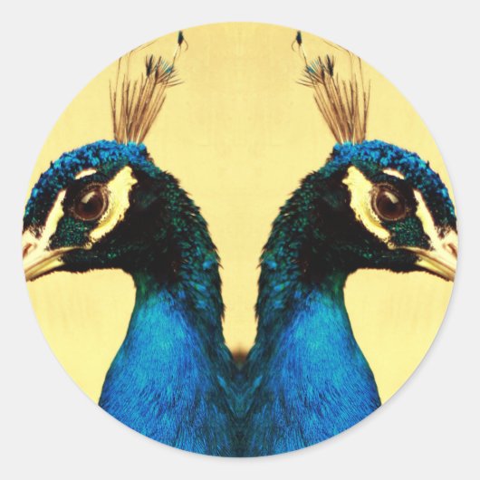 Pfau ラウンドシール (正面)