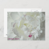 Pfingsten :イマー・デイン ポストカード (正面/裏面)