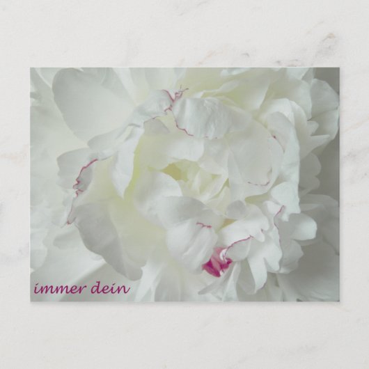 Pfingsten :イマー・デイン ポストカード (正面)