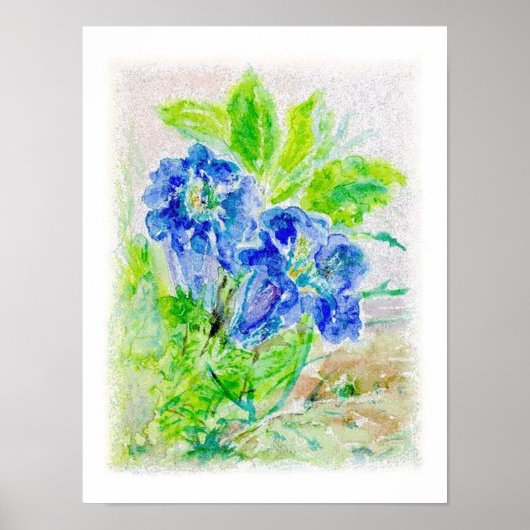 Pflanze blau Blüten Illustration ポスター (正面)