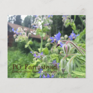 PGファームステッドフライヤー チラシ