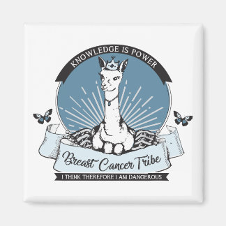 PGマグネット、複数の色/形状/サイズオプション マグネット