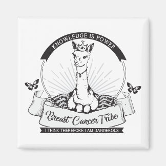 PGマグネット、複数の色/形状/サイズオプション マグネット