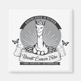 PGマグネット、複数の色/形状/サイズオプション マグネット