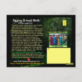 Pgymy ThreeToed Slothは絶滅危惧種である ポストカード (裏面)