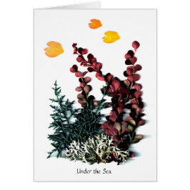 PhaedraのPhantasies -海の下の…