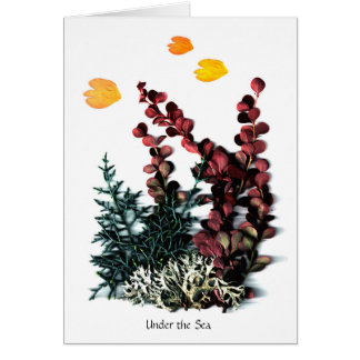 PhaedraのPhantasies -海の下の…