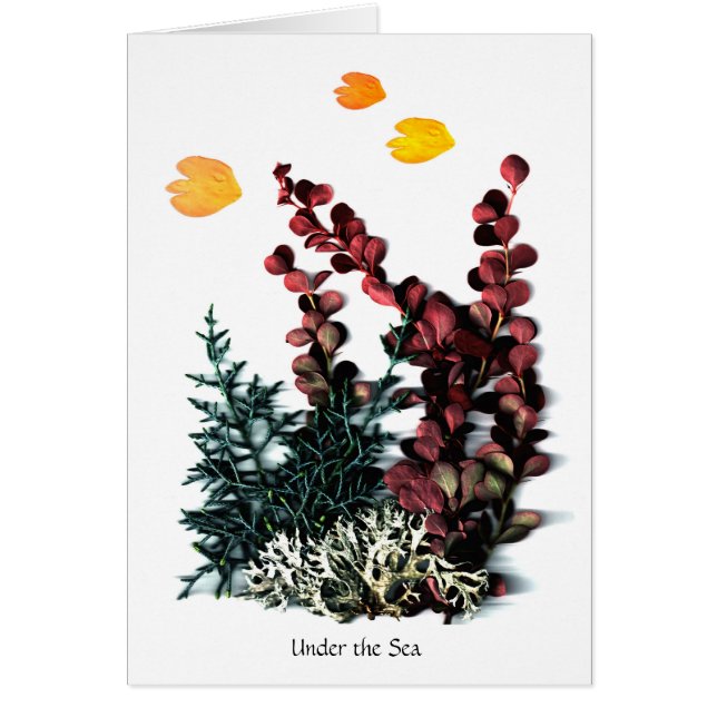 PhaedraのPhantasies -海の下の… (正面)