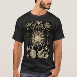 Phaeodaria | 61 ゴールド | エルンスト・ヘッケル | tシャツ
