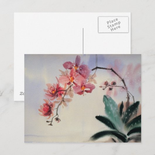 Phalaenopsisはがき ポストカード (正面/裏面)