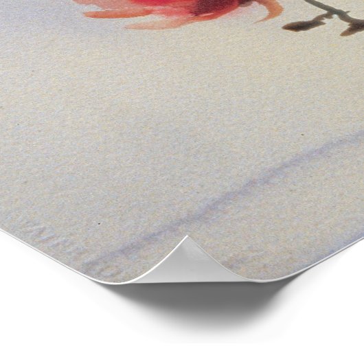 Phalaenopsisポスター ポスター (角)