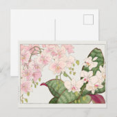 Phalaenopsis by谷上香南 ポストカード (正面/裏面)