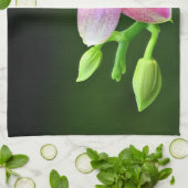 Phalaenopsis liodoro Küchenhandtuch 40,6cm x 61cm キッチンタオル (折り畳み)