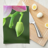 Phalaenopsis liodoro Küchenhandtuch 40,6cm x 61cm キッチンタオル (四つ折り)