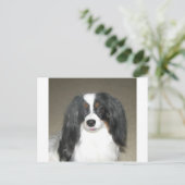 Phalène Papillon ポストカード (スタンド正面)