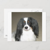 Phalène Papillon ポストカード (正面/裏面)