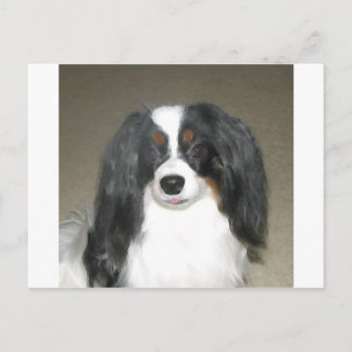 Phalène Papillon ポストカード