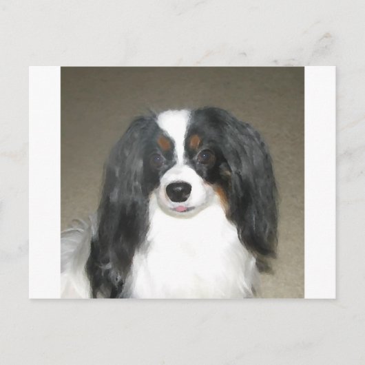 Phalène Papillon ポストカード (正面)