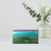 Phantastes:島のコテージ 名刺 (スタンド正面)