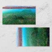 Phantastes:島のコテージ 名刺 (正面/裏面)