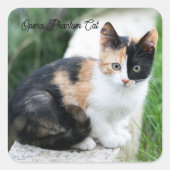 Phantom Opera Cat スクエアシール (正面)