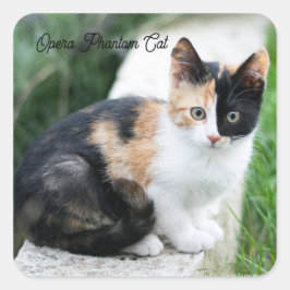 Phantom Opera Cat スクエアシール