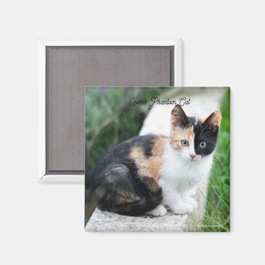 Phantom Opera Cat マグネット (正面/裏面)