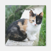 Phantom Opera Cat マグネット (正面)