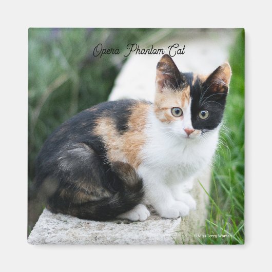 Phantom Opera Cat マグネット (正面)