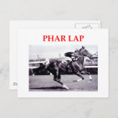 pharラップ ポストカード (正面/裏面)