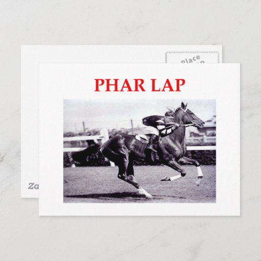 pharラップ ポストカード (正面/裏面)