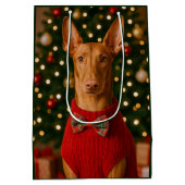 Pharaoh Hound Holiday  ミディアムペーパーバッグ (裏面)