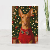 Pharaoh Hound Holiday Card シーズンカード (正面)
