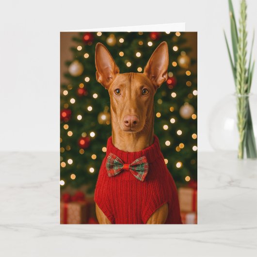 Pharaoh Hound Holiday Card シーズンカード (正面)