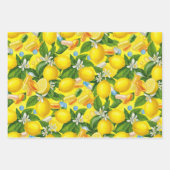 Pharmacist Retro Citrus RX Pattern Wrapping Paper ラッピングペーパーシート (正面2)