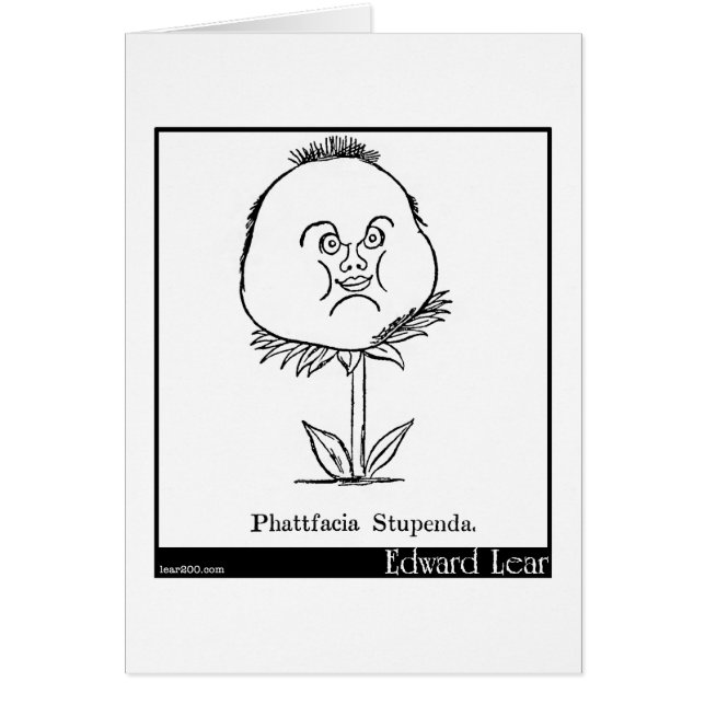 Phattfacia Stupenda. (正面)