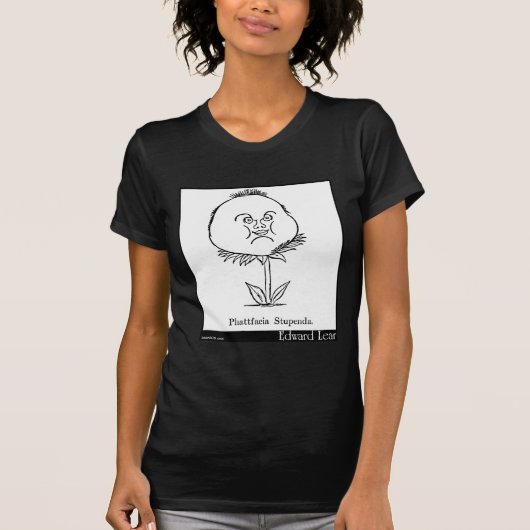 Phattfacia Stupenda. Tシャツ (正面)