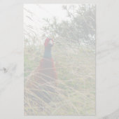 Pheantastic 便箋 (正面)