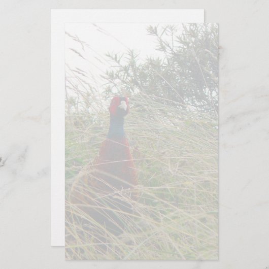 Pheantastic 便箋 (正面/裏面)