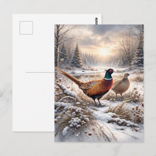Pheasant  ポストカード (正面/裏面)
