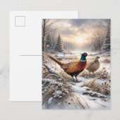 Pheasant  案内ポストカード (正面/裏面)