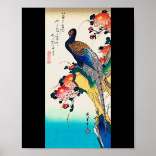 Pheasant and chrysanthemum, Hiroshige, Ukiyo-e ポスター