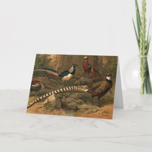 Pheasant note card カード (正面)