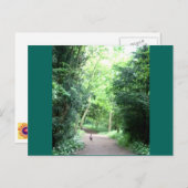 Pheasant on Woodland Pathフォトポストカード ポストカード (正面/裏面)