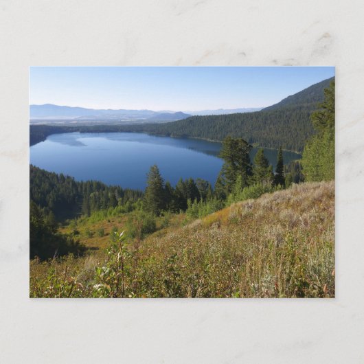 Phelps Lake III at Grand Teton National Park ポストカード (正面)