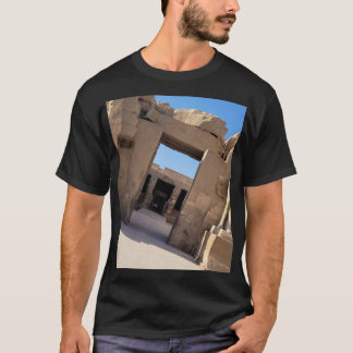 Philae Temple, Aswan，エジプトTシャツ Tシャツ